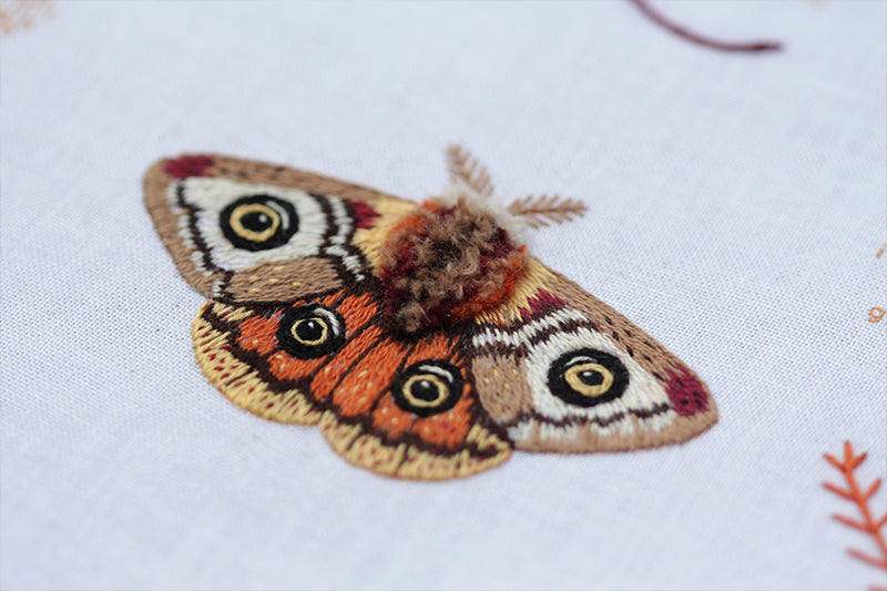 Moth - Embroidery Stitch Sampler